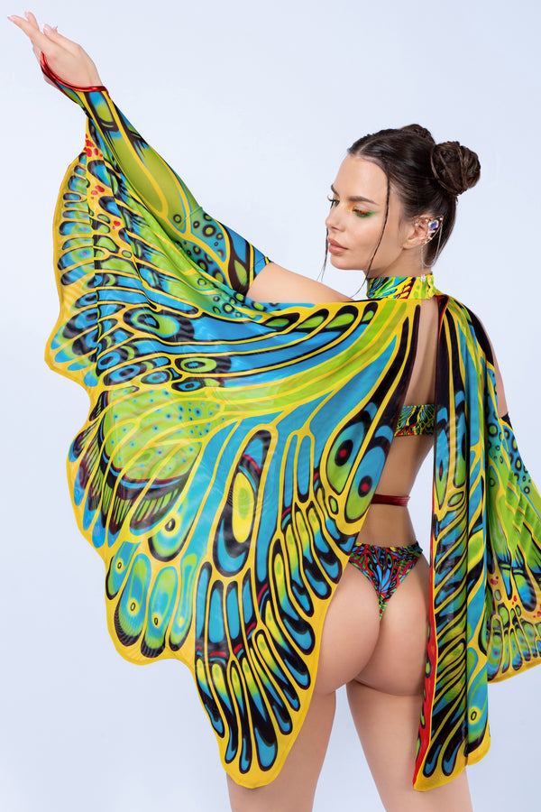 Aus dem Kokon Flügel