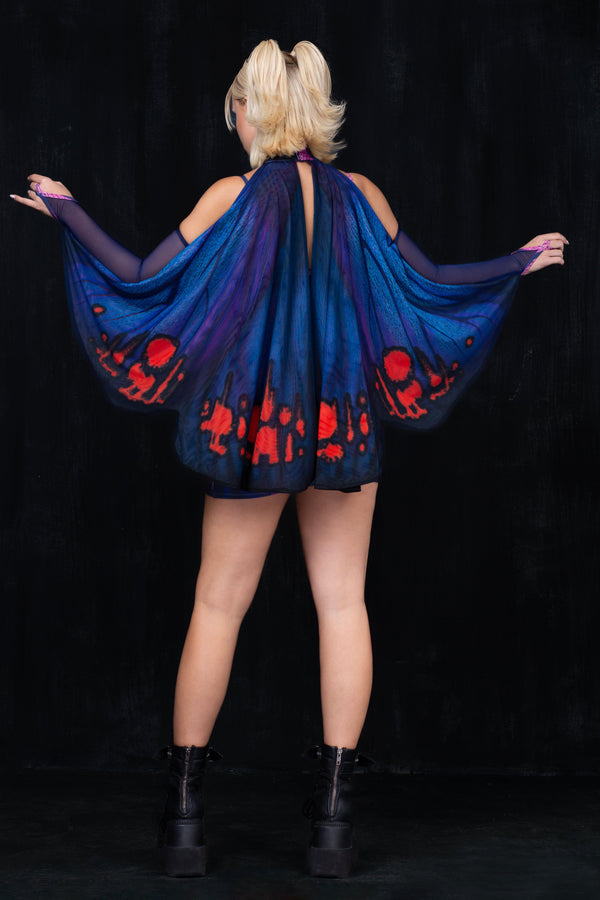 Mitternachtsumarmung Geflügeltes Set