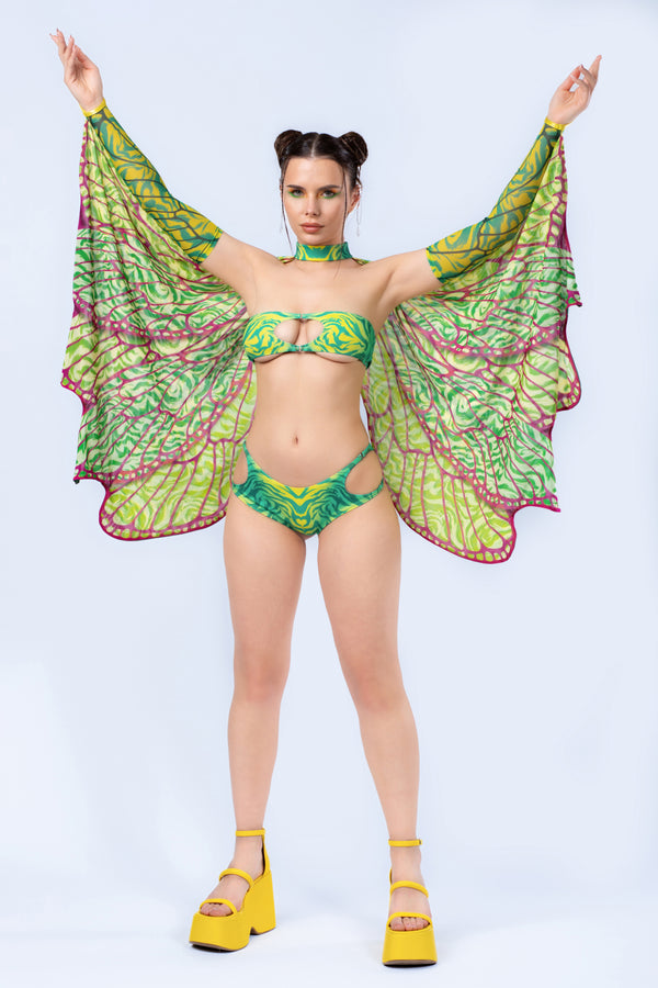 Zarte Schönheit Flügel