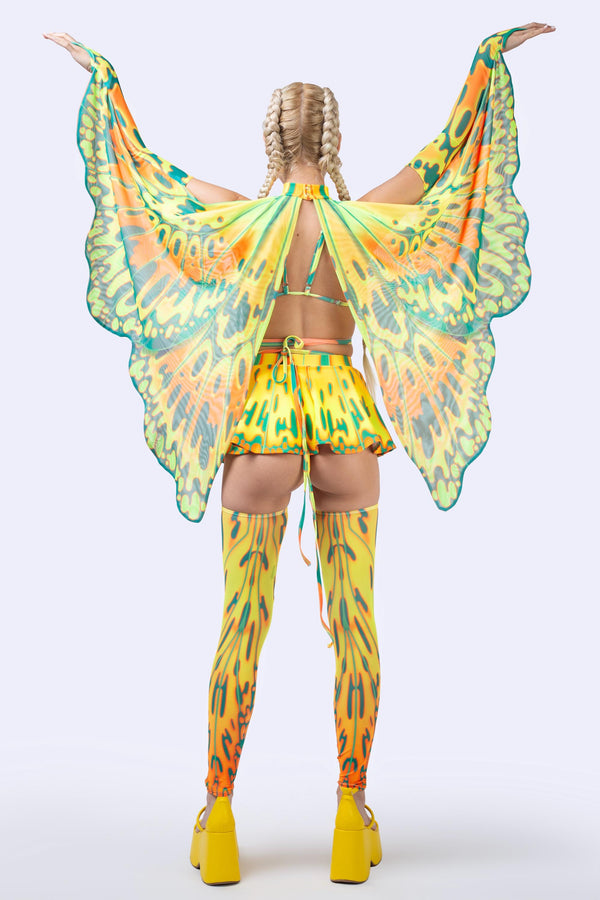 Mango On Top Winged Set