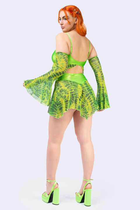 Pixie Tulip Set