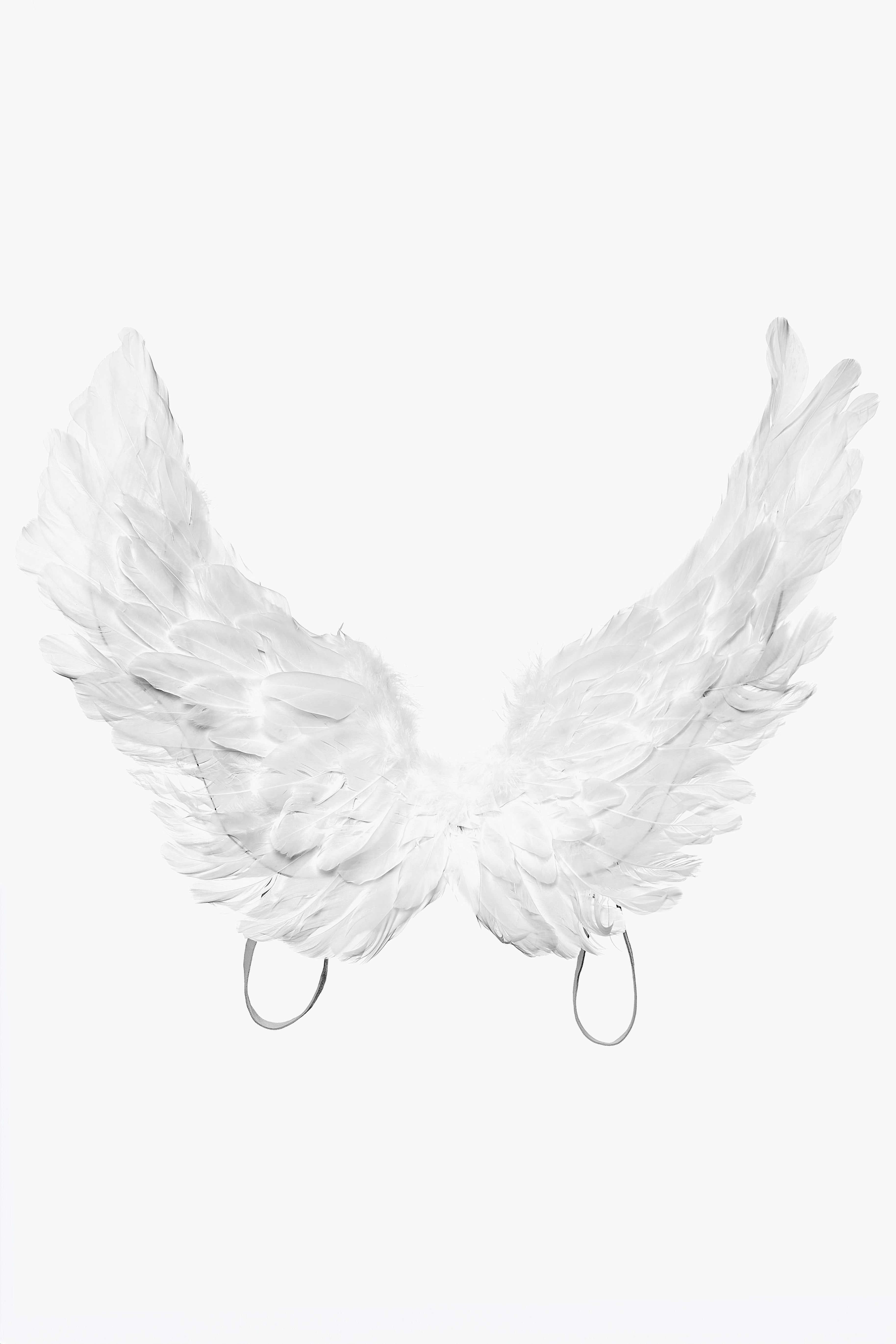 BADINKA Angelic White Feather Wings White