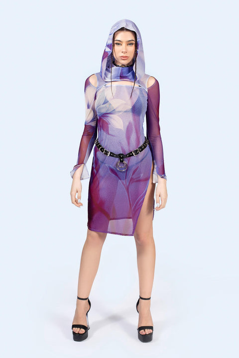 Above Mesh Hooded Dress