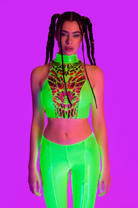 Lime Wire Paneled Set