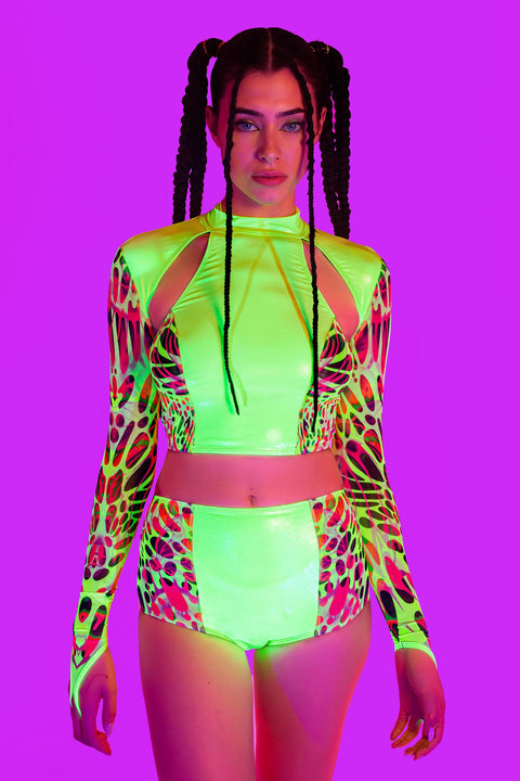 Lime Wire Paneled Top