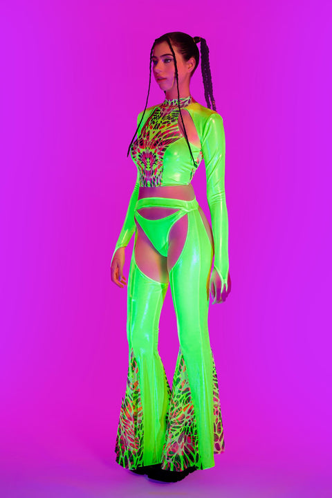 Lime Wire Paneled Top
