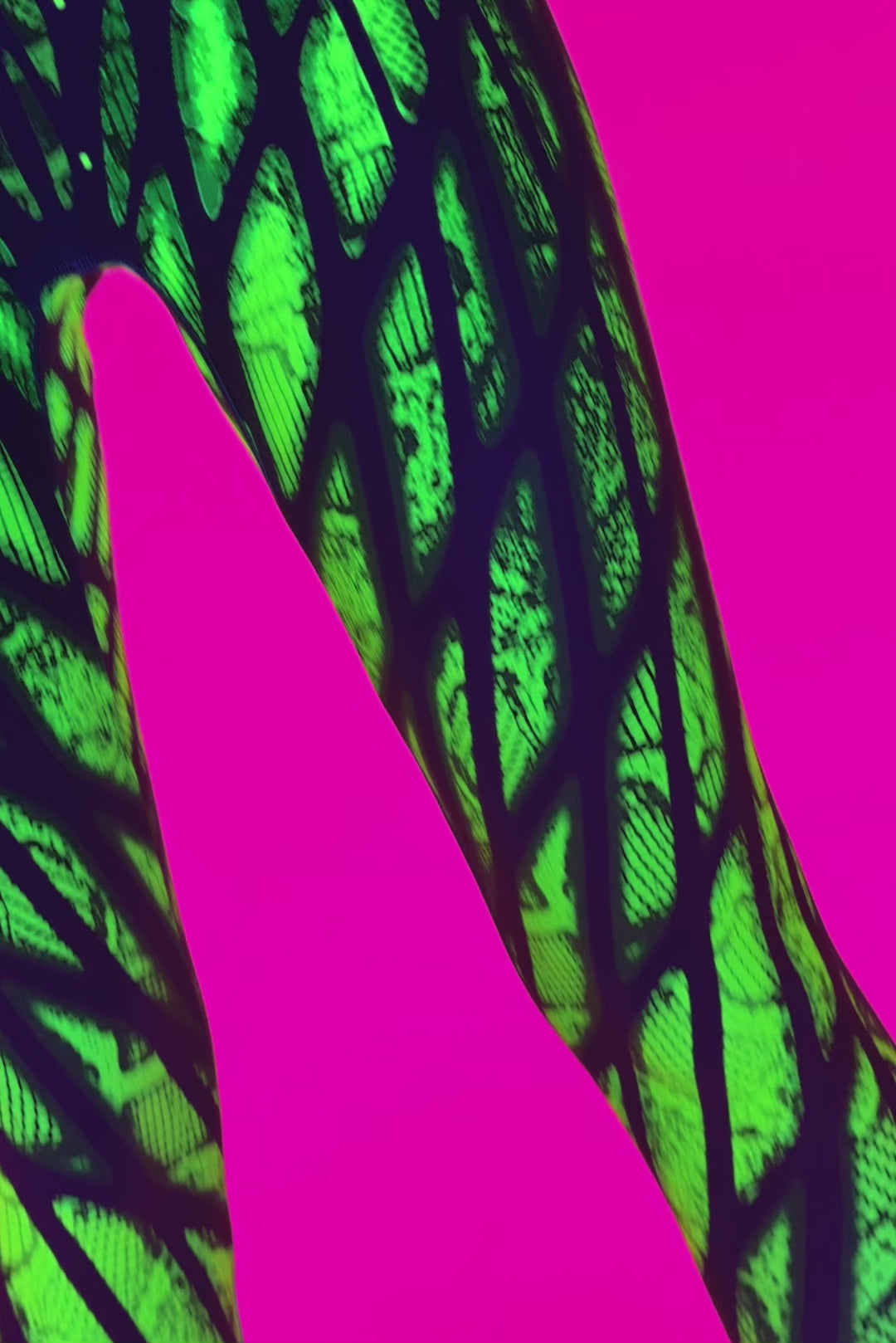 BADINKA Under My Skin Green Keyhole Halter Catsuit Neon-uv, psychedelic