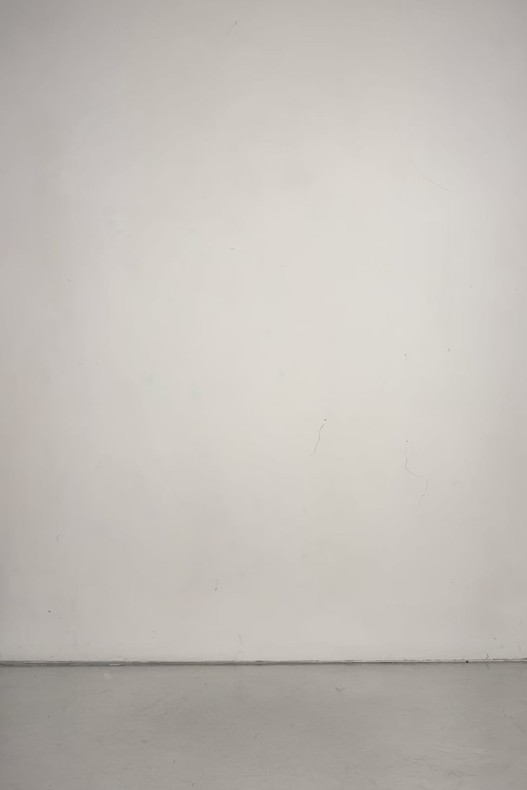 BADINKA Motor Sport Paneled Catsuit 9