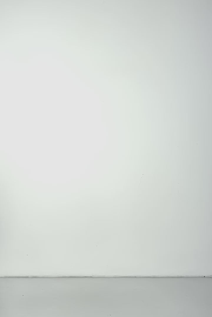 BADINKA Hard To Get Lace Up Top and Shorts With Train Set 10