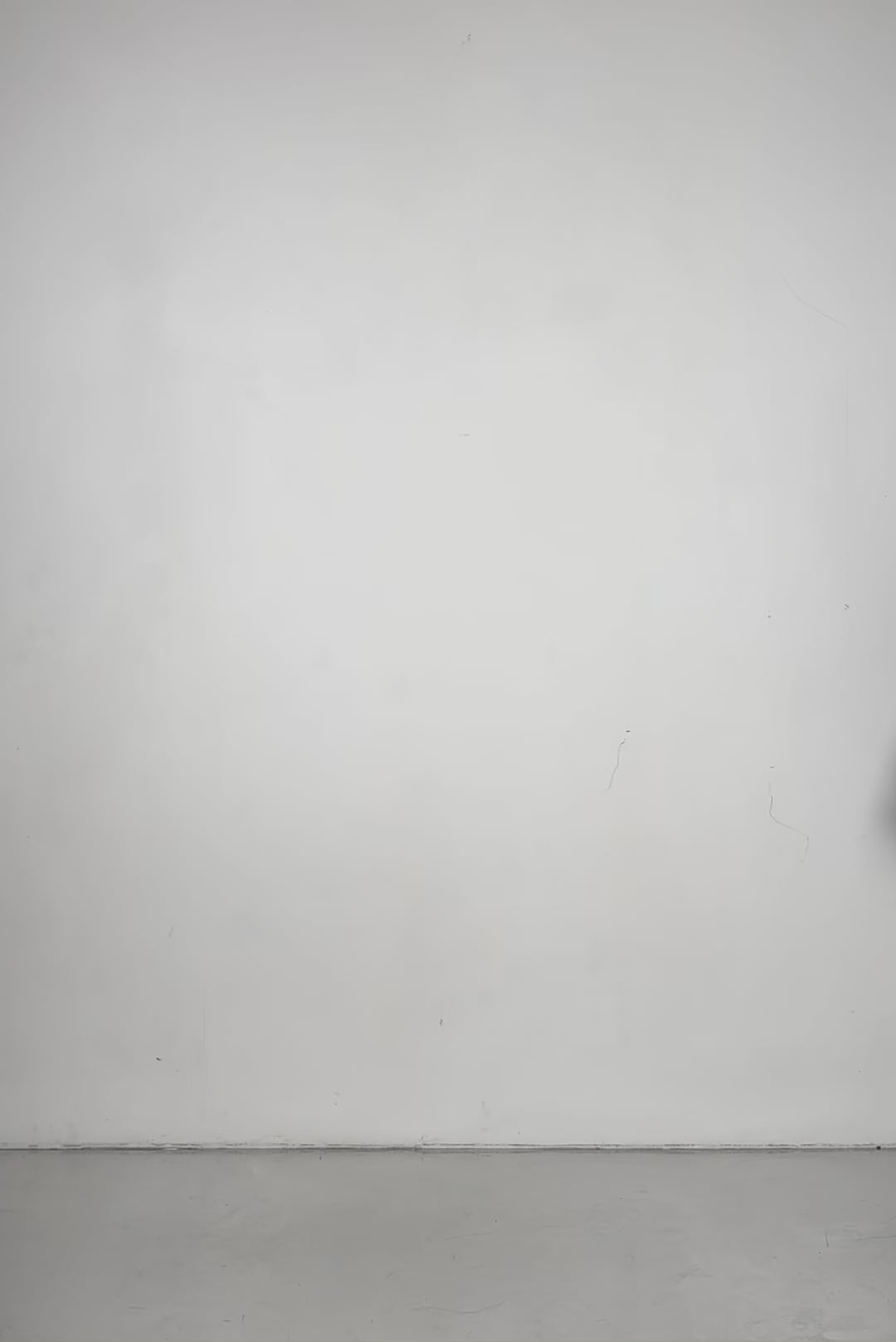 BADINKA Bite Back Lace Up Halter Top 8