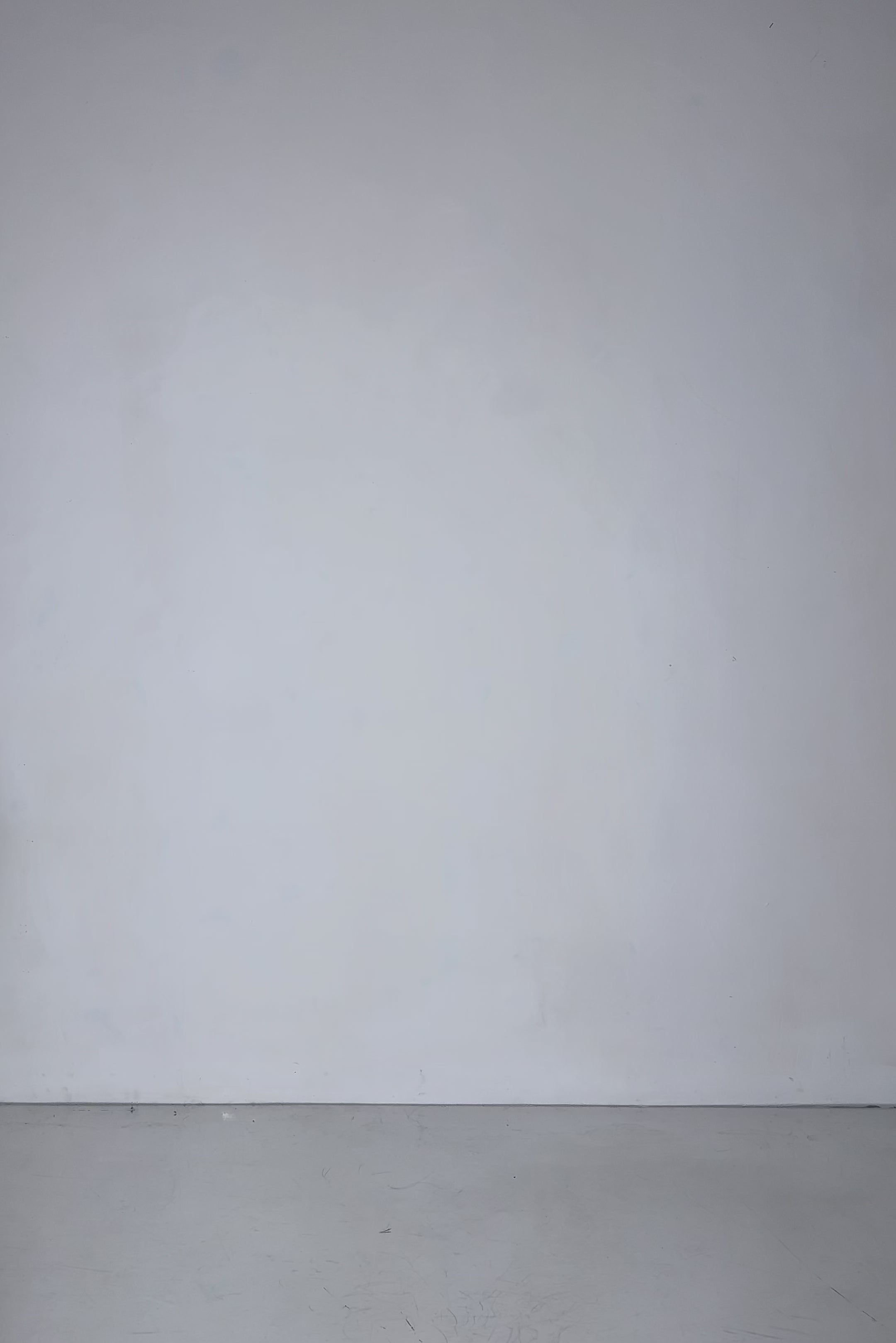 BADINKA Liquid Mesh Layered Long Sleeve Top 6