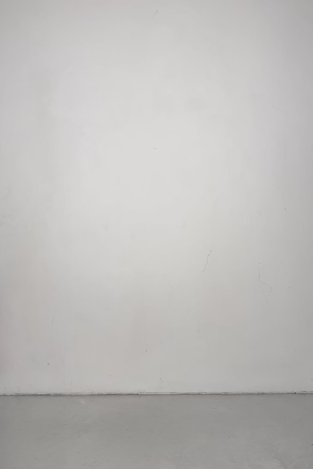 BADINKA Out Of Control Plunging Catsuit 9